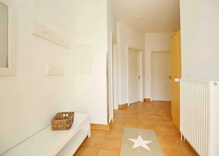 Likedeeler Ii 02 * בולטנהאגן